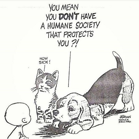 humane society.jpg